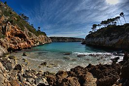 DSC04119 -1_t.jpg